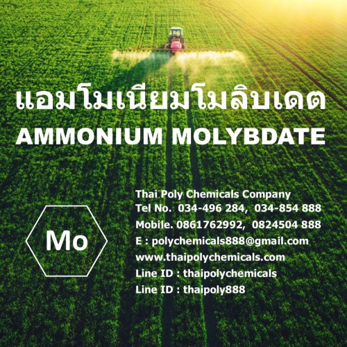 Ammonium Molybdate 447