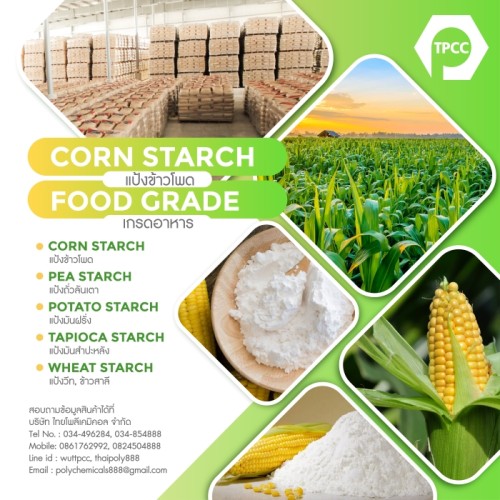 TPCC Corn Starch A400