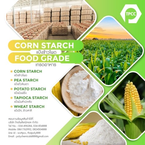 TPCC Corn Starch A141